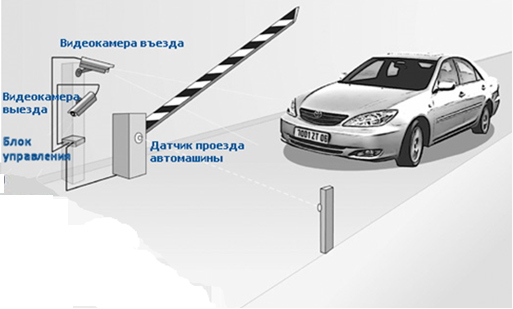 номер 6